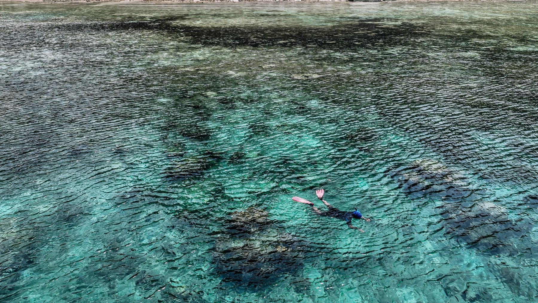 Snorkeller drifting above a shallow reef